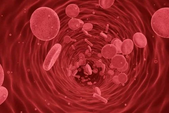 ماذا تعرف عن فصيلة دم ذهبية؟ لايمتلكها سوى 43 شخصاً بالعالم