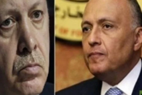 القاهرة تستنكر تصريحات أردوغان حول وفاة مرسي