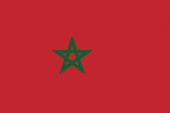رئيس نقابة رجال الأعمال المغربية يستقيل إثر بيان حكومي