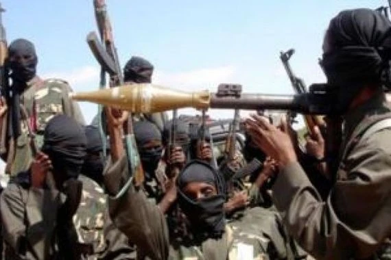بوكو حرام الإرهابية تختطف 17 مدنيا في الكاميرون