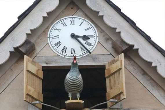 في عصر التكنولوجيا.. مدينة ألمانية تعيش علي ساعات كوكو