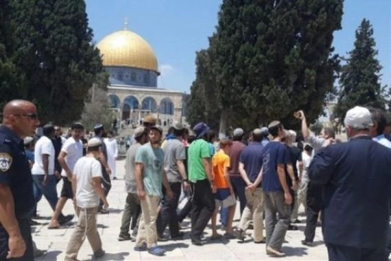 عشرات الصهاينة يدنسون المسجد الأقصى