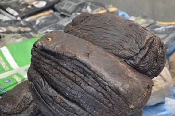 بالصور: ضبط 3 كغم من مادة الترياك المخدرة بحوزة مسافر ايراني في منفذ زرباطية الحدودي