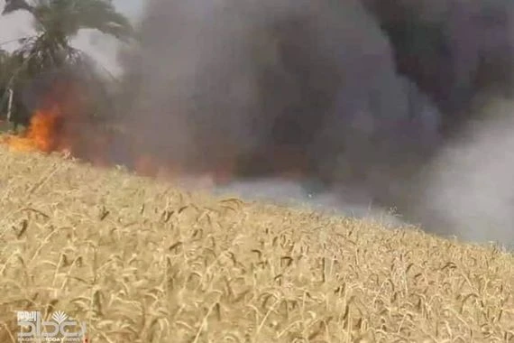 اخماد حريق اندلع بمحصول الحنطة في أحد الأراضي الزراعية بقضاء الشامية