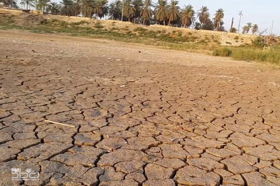 بساتين ديالى تذبل حيث شحة السقي.. الجمعية الفلاحية تشكو آفة الجفاف وهذه مطالبها