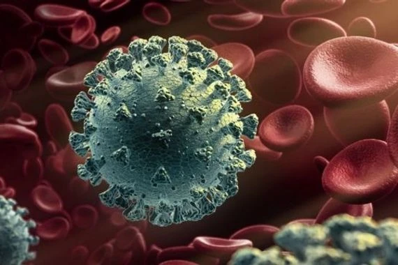 الكشف عن مسار جديد لظهور سلالات خطيرة من فيروس كورونا 