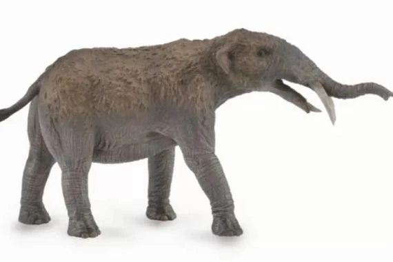 أسلاف الأفيال.. اكتشاف مقبرة لحيوانات انقرضت من 5 ملايين سنة