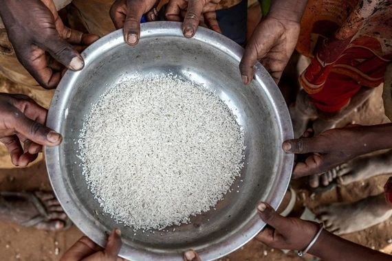 تحذيرات أممية: مجاعات ونقص غذاء يهدد حياة ربع مليار انسان