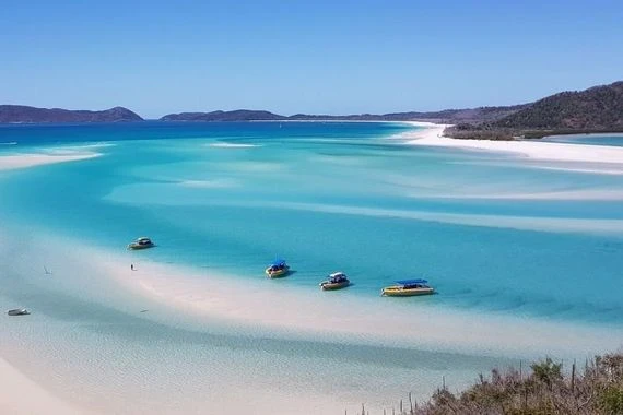 العثور على جثة مخلوق غريب في شواطئ استراليا