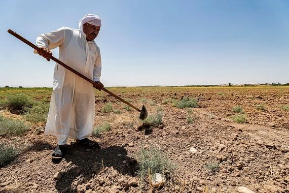 برلماني يحذر من آفة خطيرة قد تقضي على قطاع الزراعة بشكل كامل
