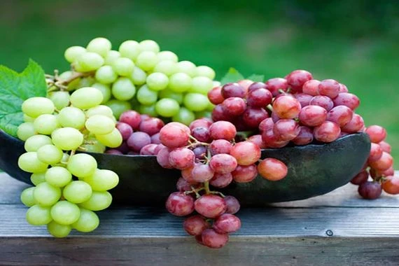 دراسة تكشف عن الفاكهة “رقم 1” لحياة أطول
