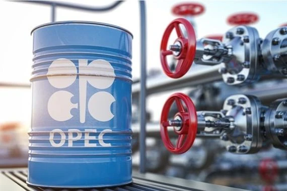 مصادر: أوبك+ تثبت مستويات إنتاج النفط دون تغيير