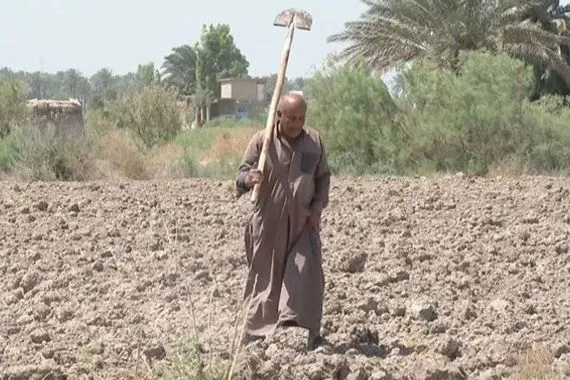 ديالى تفقد 60% من أراضي خطة الزراعة الشتائية بسبب الجفاف