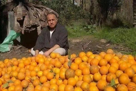 ارتفاع تاريخي.. برتقال ديالى يتجاوز الصعوبات لأول مرة منذ 5 سنوات