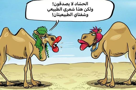 السعودية تستبعد الجمال من "مهرجان الإبل" بسبب البوتوكس