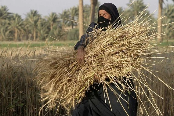 واقع المرأة الريفية في العراق في العقد الأخير