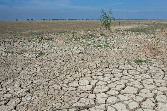 تقرير: التغير المناخي زاد من احتمالية جفاف 2022 نحو 20 مرة