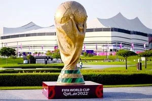موجهاً رسالة لها.. عراقي يبيع مجوهرات والدته ليحضر كأس العالم 2022 (صور)