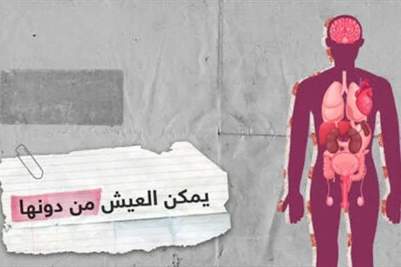 تعرف على الأعضاء التي يمكن للإنسان أن يعيش من دونها