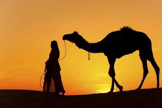 “كل يغني على ليلاه”.. قصة المثل الذي قيل في وصف مجانين الحب