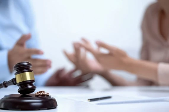 بعد الحكم لزينة في قضيتها ضد أحمد عز.. نظرة على قوانين نفقة المطلقة وأولادها في بعض الدول العربية