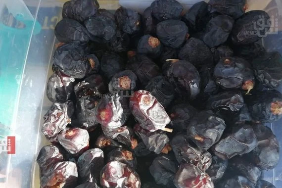 رغم تناقص أعداد النخيل.. "القرنفل وميرحاج" يتصدران صنوف التمور النادرة في ديالى