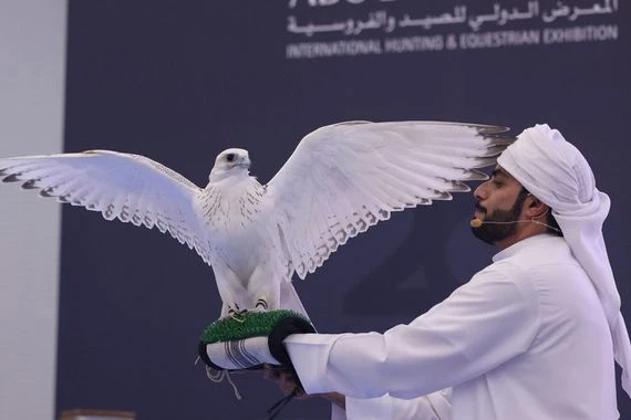 في الإمارات.. بيع صقر بأكثر من ربع مليون دولار (صور)