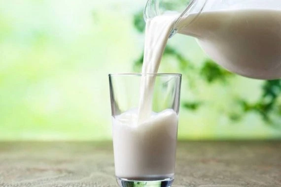 دراسة عملية تكشف عن دور الحليب في زيادة حجم الإنسان القديم