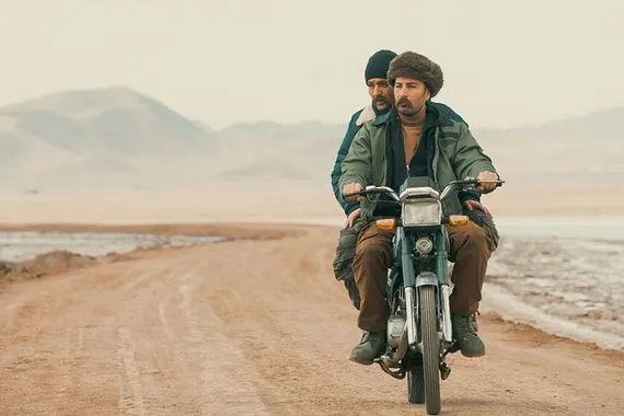 من بطولة الإيلامي "نويد محمدزاده".. "آكتور" يتألق عالمياً