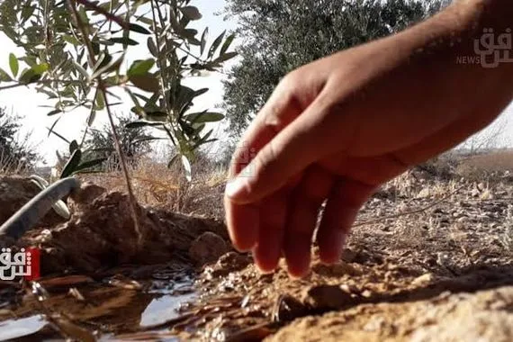 ضربة جديدة للزراعة.. العراق يفقد كنزه الاستراتيجي