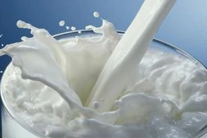 دراسة: استهلاك الحليب زاد من طول ووزن بعض البشر القدماء